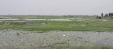 घाट कुसुंभा: हरोहर नदी की बाढ़ से तबाह फसलों का मुआवजा, 1964 किसानों को मिली राहत