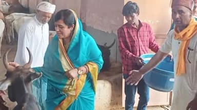 बहरी: सीधी जिले के ग्राम पीपरोहर में सीधी विधायक ने देव गौशाला का किया निरीक्षण