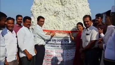 ములుగు: రైతులకు ఇబ్బంది లేకుండా పత్తి కొనుగోలు జరగాలి : కలెక్టర్ దివాకర టీఎస్