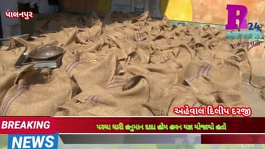 બનાસકાંઠામાં ૩૫થી વધુ સેન્ટર પર મગફળી સહિતના પાકની ખરીદી શરૂ કરાઈ...