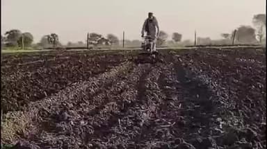 मनासा: नीमच जिले में भारी बारिश से अफीम की फसल खराब, बावडा में फिर से बुआई