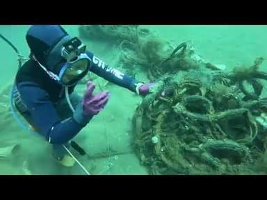 डाइविंग के दौरान मिला सदियों पुराना डूबा हुआ जहाज़ | Voice of Sea | #ship #divingforseafood #diving