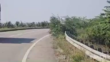 લીમખેડા: મંગલ મહુડી નજીક હાઇવેપર મધુ માખીઉડતા વાહન ચાલકોને મુશ્કેલી