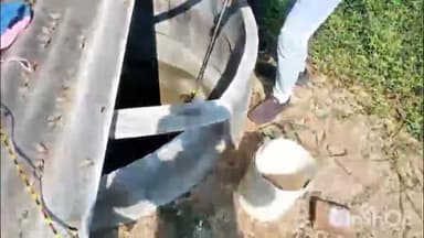 ବୀରମିତ୍ରପୁର: ନୂଆଗାଁ ଗ୍ରାମପଞ୍ଚାୟତର ନୂଆଗାଁ ଗ୍ରାମରେ ସାପଟିଏ ଉଦ୍ଧାର କରି ଦିଆଗଲା ବନବିଭାଗକୁ ଖବର