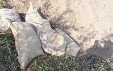 सीहोर: जमुनिया तालाब के पास सरकारी गेहूं उतारा जा रहा था, लोगों को देख बोरियां छोड़कर भागे