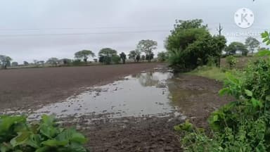 नईसराय: खेतों में पानी भरने से मसूर और सरसों का बीज हुआ खराब, नई सराय के किसानों को फिर करनी होगी बुवाई