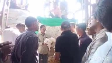 हिंगणघाट: शहरातील बाजार समितीमध्ये कापूस खरेदीचा शुभारंभ:७ हजार ९१ रुपये दर:पहिल्याच दिवशी ५३० वाहनांची आवक