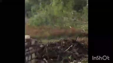 सबलगढ़: पब्लिक एप्प की खबर का असर: बैनीपुरा में सरकारी भूमि पर से अवैध अतिक्रमण हटाया गया