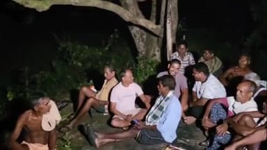 ପରଜଙ୍ଗ: ସିବୁଳାପଶି ଗାଁରେ ଚାଷୀଙ୍କ ଚିନ୍ତା ବଢ଼ାଇଛି ଜଙ୍ଗଲୀ ଜନ୍ତୁ। ମଞ୍ଚାରେ ବିତୁଛି ଚାଷୀଙ୍କ ଜୀବନ