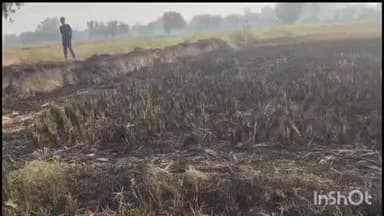 चौरीचौरा: पराली जलाने के दौरान खड़ी फसल और पुआल को जलाया गया