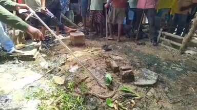 পুরাতন মালদা: ভাবুক এলাকায় সাপ উদ্ধারকে চাঞ্চল্য