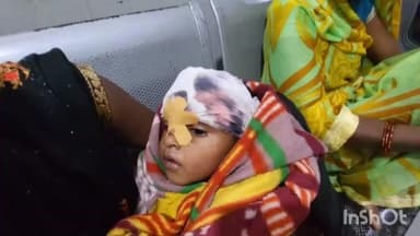 रतनी फरीदपुर: मठिया पर गांव में घर के बाहर खेल रहे मासूम पर पागल कुत्ते का हमला, पटना PMCH रेफर