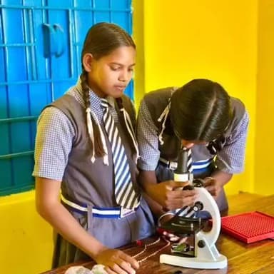 रामानुजनगर: विद्यालय में उत्साहपूर्वक मनाया गया विश्व विज्ञान दिवस, विज्ञान के महत्व पर दी गई जानकारी, विद्यार्थियों में बढ़ी जिज्ञा