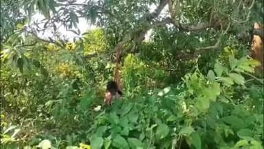 ପାଲଲହଡା: ନିଖୋଜ ମହିଳାଙ୍କ ଝୁଲନ୍ତା ମୃତଦେହକୁ ଉଦ୍ଧାର,ହତ୍ୟା ଅଭିଯୋଗ ଆଣିଲେ ପରିବାର ଲୋକେ