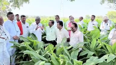 कळमनूरी: चाफनाथ येथे एक दिवसीय हळद उत्पादक शेतकरी कार्यशाळा व पिक पाहणी कार्यक्रमाचे आयोजन