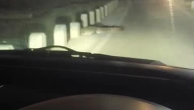 गरोठ: बोलिया रोड पर घूमता हुआ दिखा मगरमच्छ