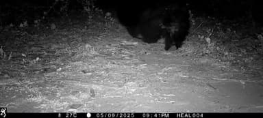 আড়শা: নির্বাচন কমিশনের নির্দেশে সারা রাজ্যের সাথে আড়শা ব্লক জুড়ে ভোটার তালিকার এস আই আর এর কাজ।