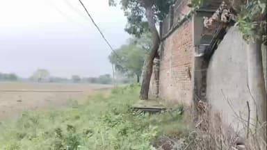 पन्ना: पन्ना जिले में विद्युत विभाग की लापरवाही उजागर, फीडर कार्यों में अनियमितताओं से ग्रामीणों में आक्रोश