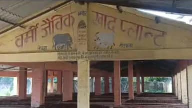 तेघरा: तेघड़ा का श्री गोशाला बन रहा आत्मनिर्भर, बड़े पैमाने पर बन रहा वर्मी कंपोस्ट, महिलाओं को मिल रहा रोजगार