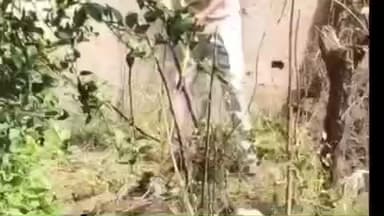 धरियावद: उदयपुर रोड पेट्रोल पंप के समीप सर्पमित्र गजेंद्र सोलंकी ने किया सांप का सुरक्षित रेस्क्यू