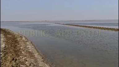 દસાડા: દસાડા તાલુકા પંથકમાં ઠંડીનો પારો ગગડયો : આગામી સમયમાં ઠંડી વધવાની હવામાન વિભાગની આગાહી