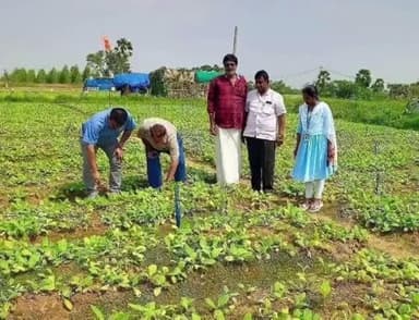 కొండపి: కొండపి మండలంలోని పొగాకు నారులను పరిశీలించి రైతుల రసీదులు ఇవ్వాలని ఆదేశించిన కమిటీ సభ్యులు