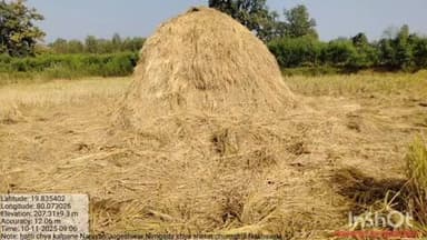 चामोर्शी: मकेपल्ली येथेइ रानटी हत्तीचा कळपाने केले पुन्हा शेतकऱ्यांच्या धानाची नासाडी