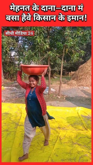 🌾 धान चौपट – पर हिम्मत नहीं टूटी!
देखिए कैसे पूरा किसान परिवार जुटा है खलिहान में 💪 | Sidhi Media 24
---
### 📝 Descri...