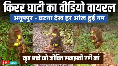 मां की ममता का उदाहरण बनी अनूपपुर जिले की यह वीडियो । रिपोर्ट - विपुल बर्मन । Anuppur viral video । Kirar ghat ANUPPUR N...