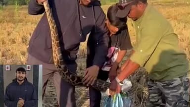 વડોદરા પશ્ચિમ: આઠ ફૂટના મહાકાય અઝગર ને જોઈ ને તમે પણ ફફડી જશો.જુઓ કેવી રીતે કરાયો રેસ્ક્યુ