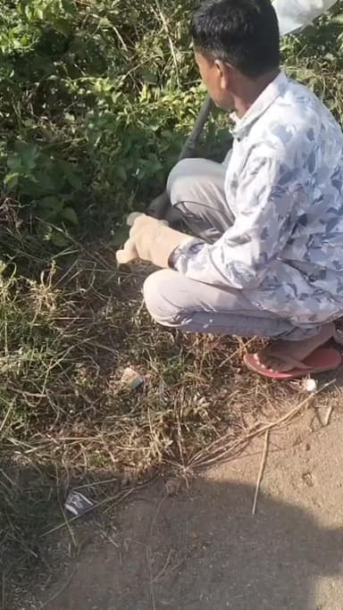 आनंदपुरी: मेनापादर में चार फीट का अजगर निकला, वन विभाग ने किया सुरक्षित रेस्क्यू