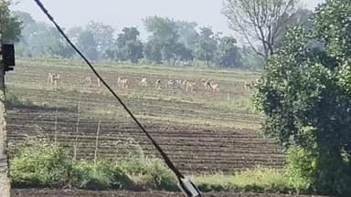 श्री मन इंदर सिंह जी परमार साहब से निवेदन है कि यह भी जल्द समस्या का समाधान करने की कृपा करे