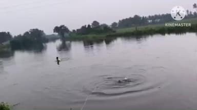 குளித்தலை: என் சத்தியமங்கலம் செண்பக புதூர் வாய்க்காலில் விழுந்த காரை கிரேன் மூலம் மீட்ட போலீசார்