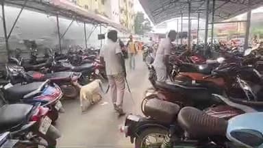 ముక్కంటి ఆలయంలో పలుచోట్ల డాగ్స్ కార్డు అధికారులు విస్తృతంగా తనిఖీలు చేపట్టారు