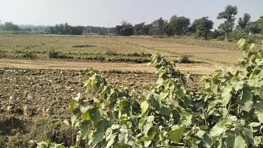 400 बीघा जमीन बिकाऊ है जिस भाई को लेना मुझसे संपर्क करें 8090291079