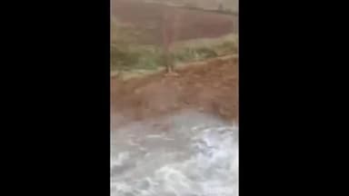 सवाई माधोपुर: सवाई माधोपुर जिले के बिलोपा तालाब की पाल टूटी, खेतों में जलभराव की बनी स्थिति, असामाजिक तत्वों की आशंका