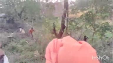 त्योंथर: चदई में भीषण सड़क हादसा, नेशनल हाईवे से 10 फीट नीचे झाड़ियों में गिरी कार, चार लोग गंभीर घायल