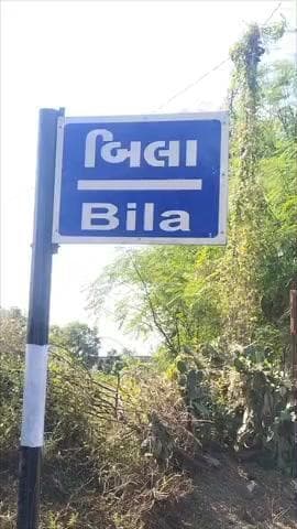 જેસર: ડુંગળીના ઉભા પાકમાં ઘેટાં-બકરાં ચરાવીને પાકનો નાશ કર્યો