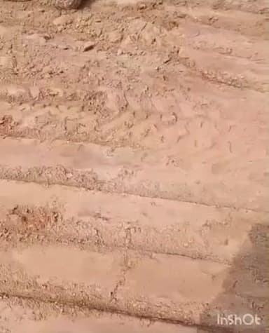 अजीतमल: गढ़िया में आरा मशीन से निकला 10 फीट लंबा अजगर, मची अफरा-तफरी, वन विभाग ने किया सफल रेस्क्यू