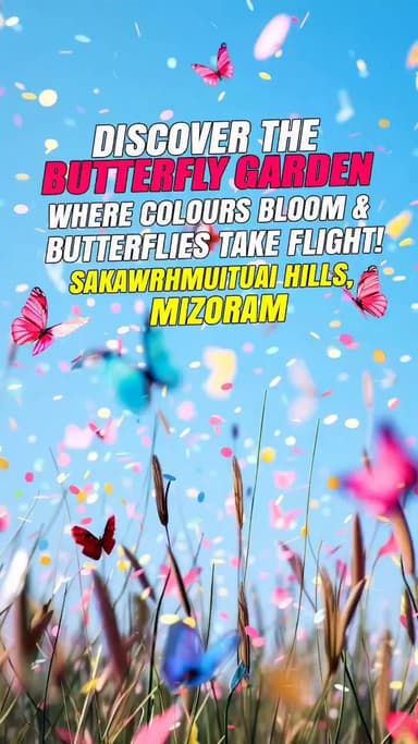 Step into Mizoram’s first-of-its-kind Butterfly Garden in the scenic Sakawrhmuituai Hills.
