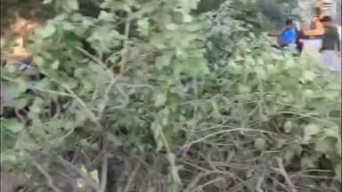 कोडरमा: कोडरमा घाटी के बंदरचुआं के पास वाहन को बचाने में तीखी मोड़ पर पलटा ट्रक, चालक की मौत