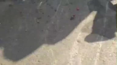 खकनार: शेखपुरा में रफ्तार का कहर! अनियंत्रित ट्रक ने 15 मवेशियों को कुचला, कई घायल, ग्रामीणों का आक्रोश