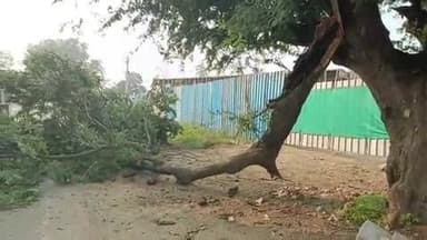 ஊத்தங்கரை: மின் அலுவலகம் எதிரே சாலையோர புளிய மர கிளை விழுந்ததால் போக்குவரத்து பாதிப்பு