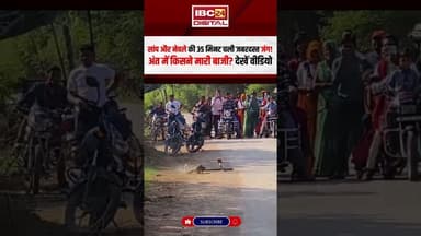 सांप और नेवले की 35 मिनट चली जबरदस्त जंग! #snake #Mongoose #snakefight #animals #animalvideos