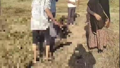 सीतामऊ: सीतामऊ के पारली गांव में खेत में तार गिरने से करंट लगने से भैंस की मौत