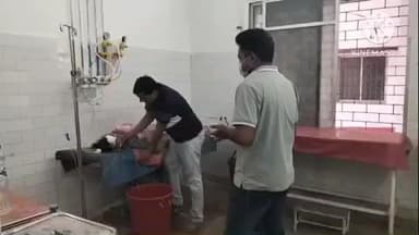 साहिबगंज: भरतिया कॉलोनी की महिला ने कीटनाशक दवाई खाई, सदर अस्पताल में भर्ती