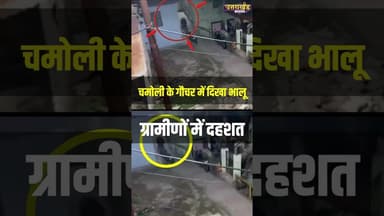 चमोली के गौचर में दिखा भालू ग्रामीणों में दहशत !#bearattack #chamoliuttarakhand #viralvideo