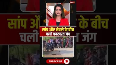 सांप और नेवले के बीच चली जबरदस्त जंग #snake #snakevideo #viralvideo #viralnews