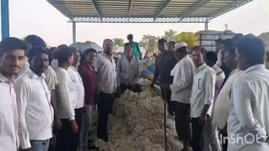 राळेगाव: कृषी उत्पन्न बाजार समिती अंतर्गत येणाऱ्या वाढोणाबाजार येथे कापूस खरेदीचा शुभारंभ