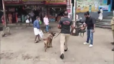 തൊടുപുഴ: ഡൽഹി സ്ഫോടനം, തൊടുപുഴയിൽ ഡോഗ് സ്ക്വാഡും ബോംബ് സ്ക്വാഡും പരിശോധന നടത്തി